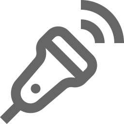 Ultrasound testing for bullion